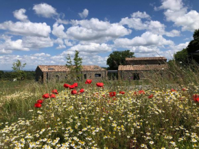 Agriturismo Podere l'Alfina